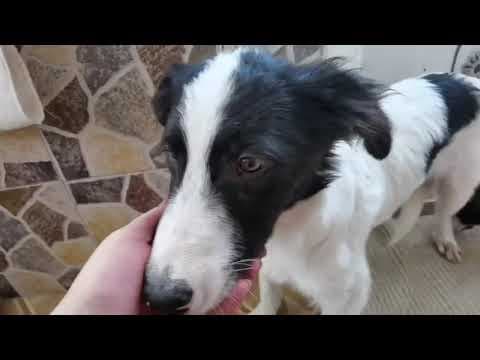 Lukas en vidéo 2