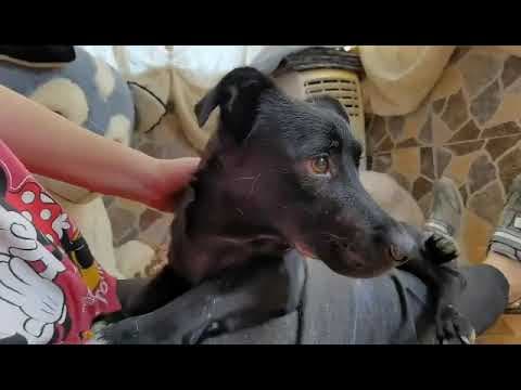 Nikita en vidéo 4