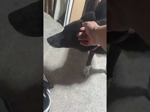 Chypre en vidéo 11