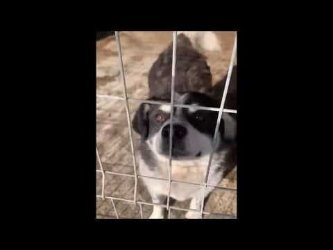 Praline en vidéo 3