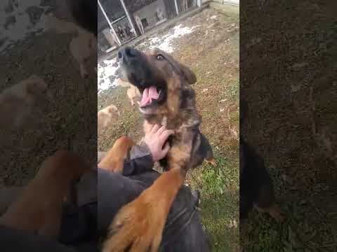 Baps en vidéo 6