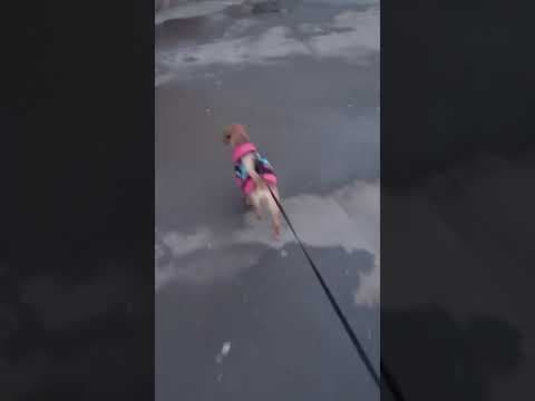 Lila en vidéo 1