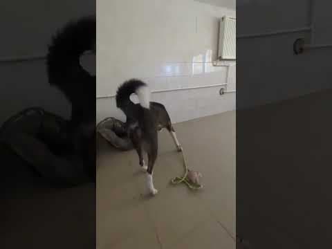 Bunker en vidéo 5