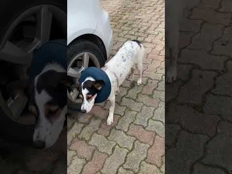 Nori en vidéo 9