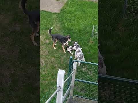 Copernica en vidéo 10