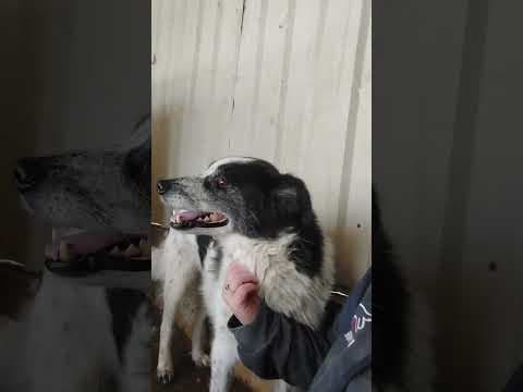 Iskaya en vidéo 5