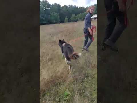 Sunjka en vidéo 2