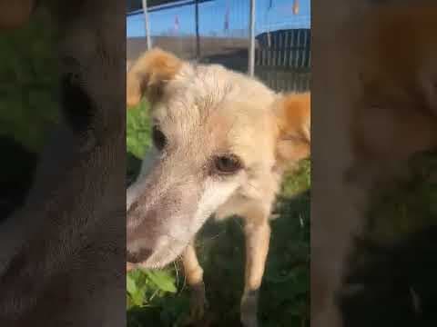 Tikk en vidéo 3