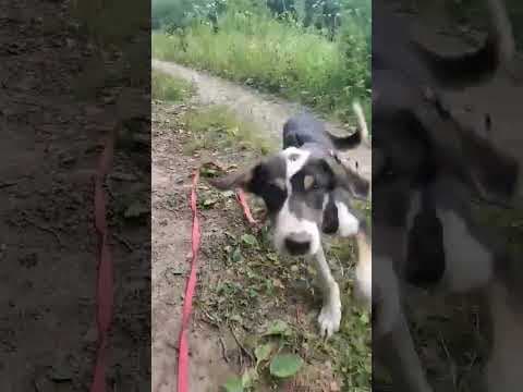 Oregon en vidéo 1
