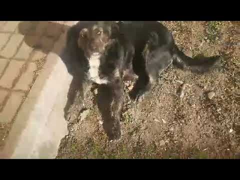 Dune en vidéo 2