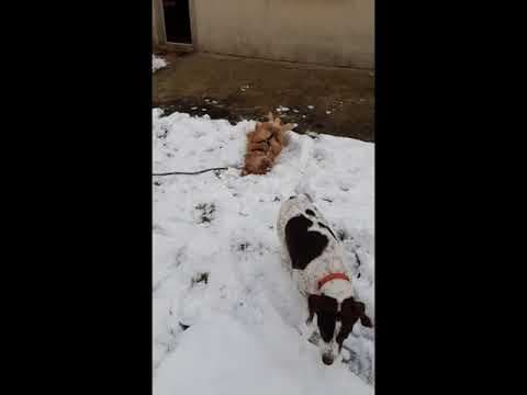 Thesee en vidéo 2