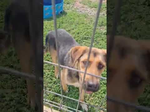 Chuan en vidéo 2
