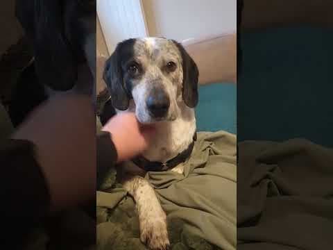 Copernica en vidéo 7