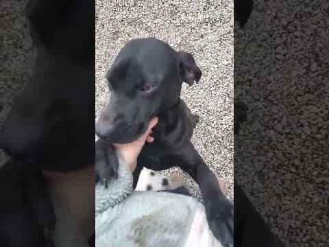 Ezra en vidéo 1