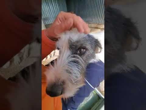 Aventura en vidéo 1