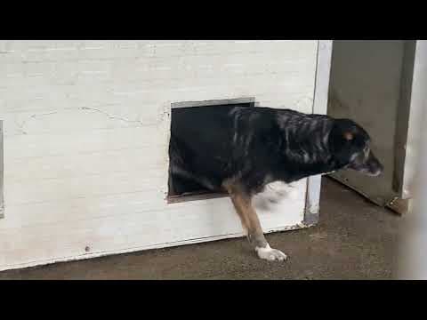 Steapa en vidéo 2