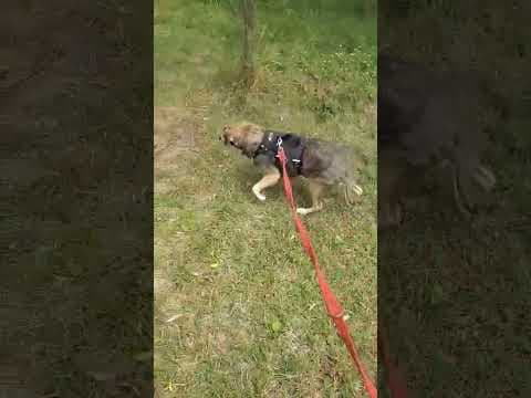 Althea en vidéo 2