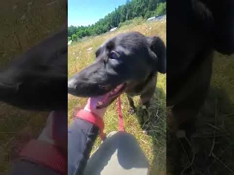 Talyra en vidéo 1