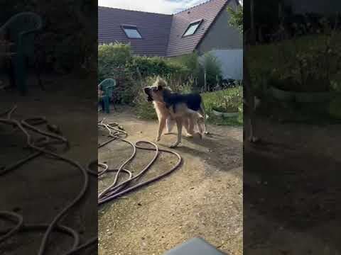 Lola en vidéo 5