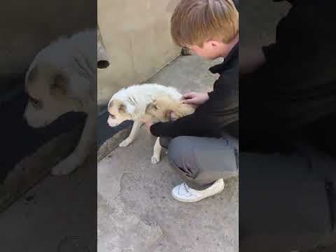 Yellow en vidéo 8