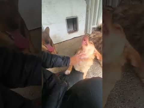 Kassia en vidéo 1