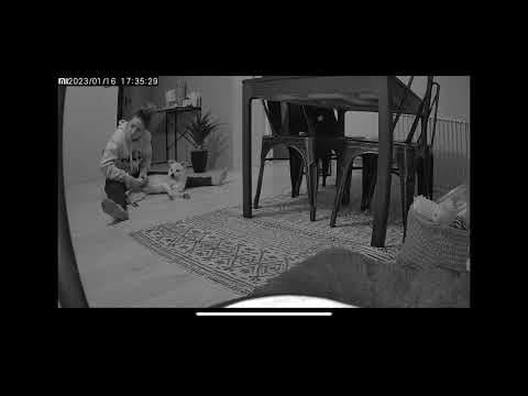 Swimmer en vidéo 10