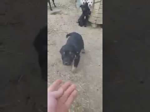 Mexique en vidéo 1