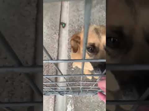 Artea en vidéo 1