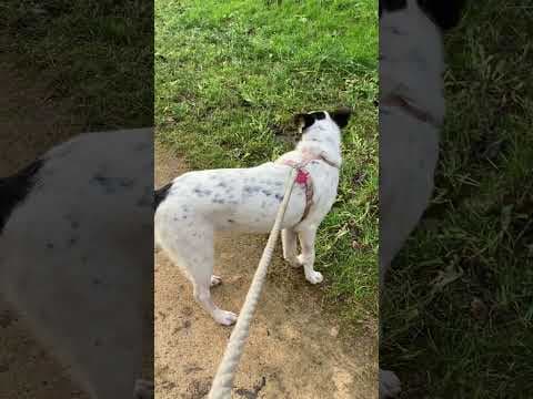 Nori en vidéo 11