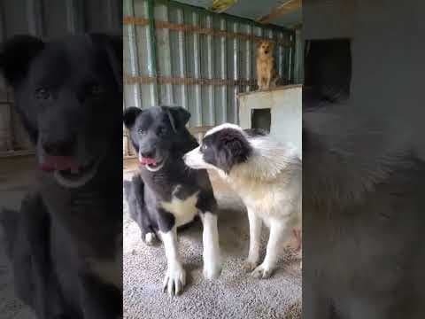 Lizzy en vidéo 1