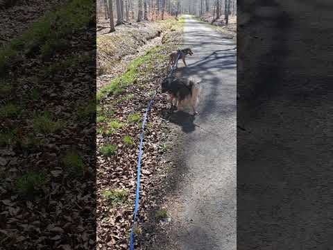 Buckley en vidéo 6