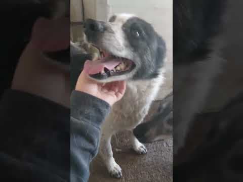 Iskaya en vidéo 4