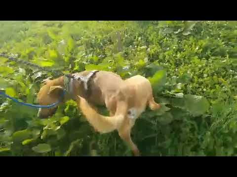 Zeus en vidéo 10