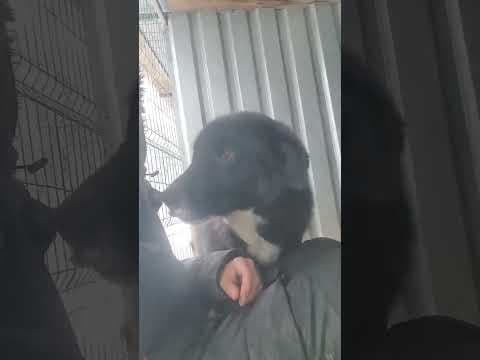 Philo en vidéo 3