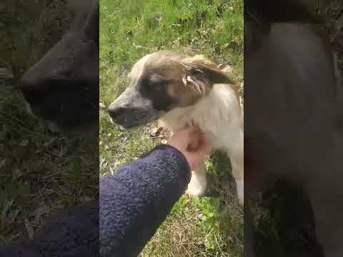 Mitchi en vidéo 1