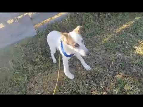 Dylan en vidéo 3