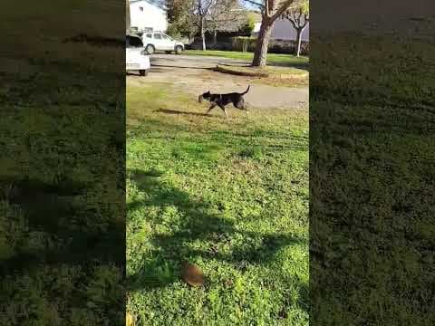 Kenjy en vidéo 5