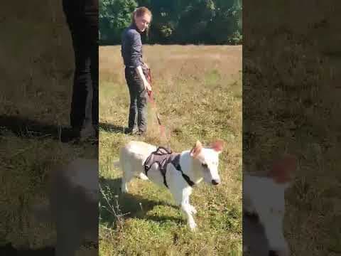 Baylan en vidéo 4