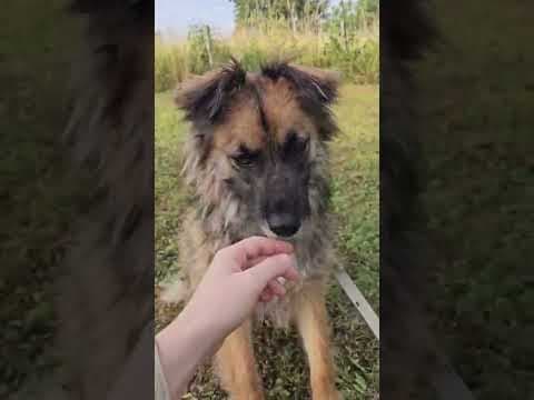 Lulu en vidéo 4