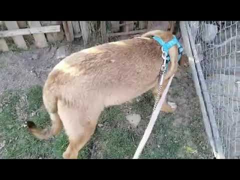 Beni en vidéo 7