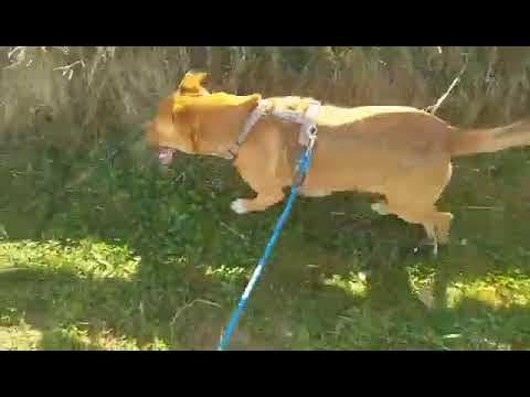 Zeus en vidéo 12