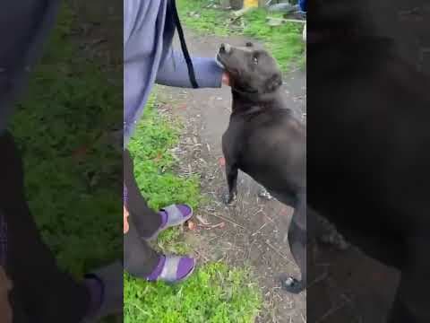 Eden en vidéo 1