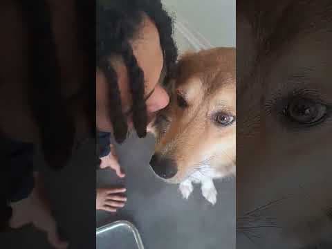 Clapa en vidéo 5