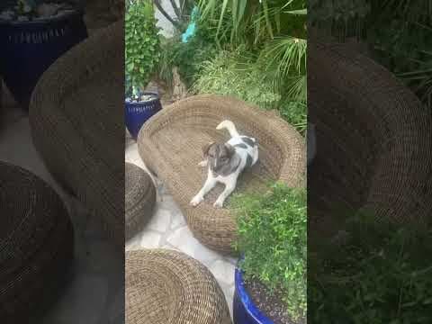 Meredith en vidéo 2