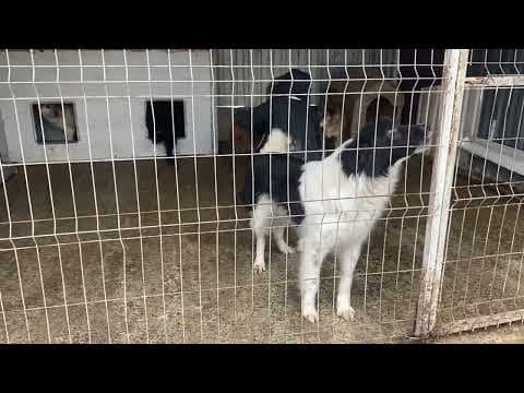 Alphabet en vidéo 3