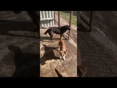 Tory en vidéo 1