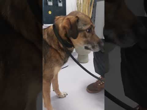 Stetson en vidéo 7