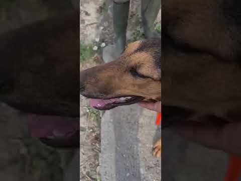 Toula en vidéo 1