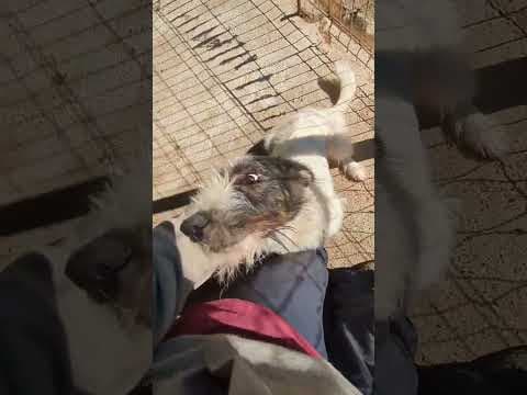 Aventura en vidéo 3