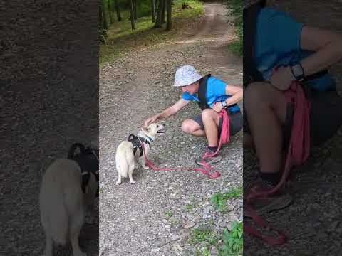 Leone en vidéo 5